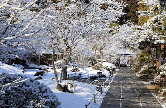 雪的圆通院庭园
