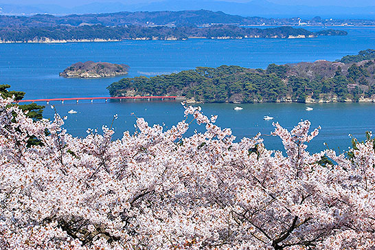 Saigyo Modoshi No Matsu Park