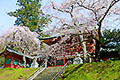 鹽竈神社