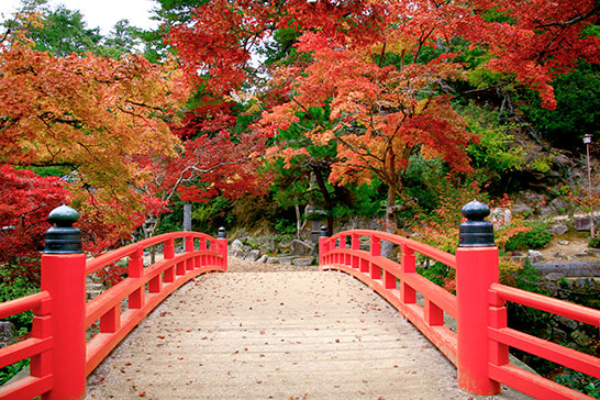 紅葉谷の紅葉