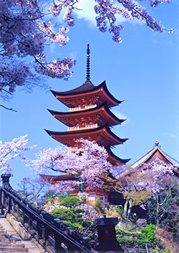 五重塔と桜