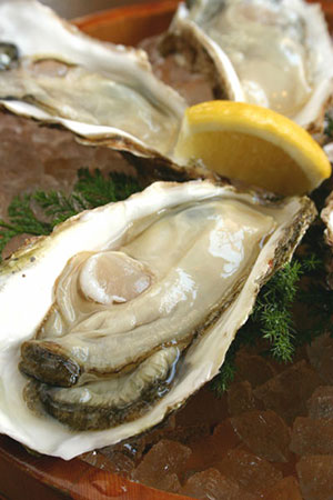 Oyster