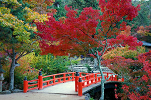 紅葉谷公園